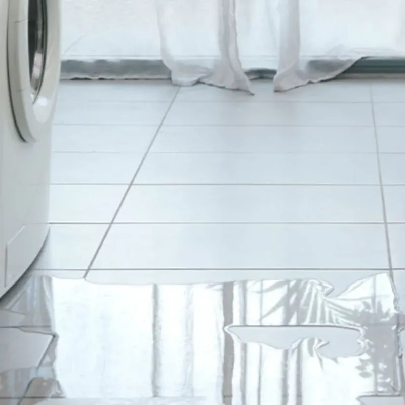Appliance Leak Cleanup in Spring Hope, NC