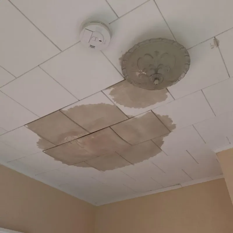Ceiling Water Damage Repair in Spring Hope, NC