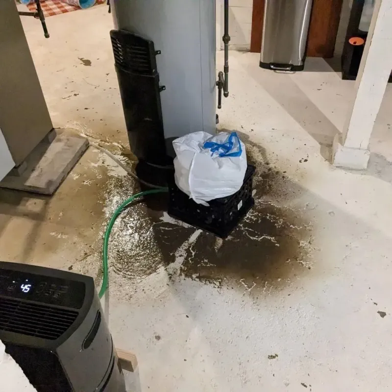 Sewage Backup Cleanup Service in Spring Hope, NC